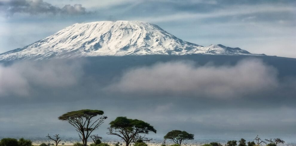 kilimanjaro