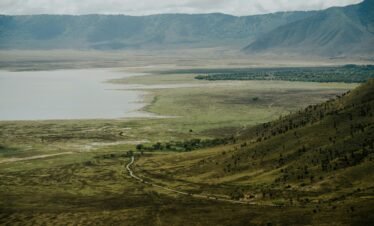 Ngorongoro Crater Day Tour